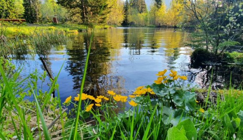 Hotel CROCUS **** Vysoké Tatry